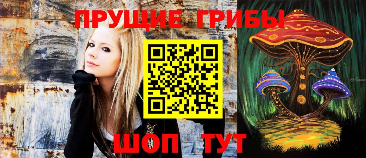 Псилоцибиновые грибы ЛСД Реутов