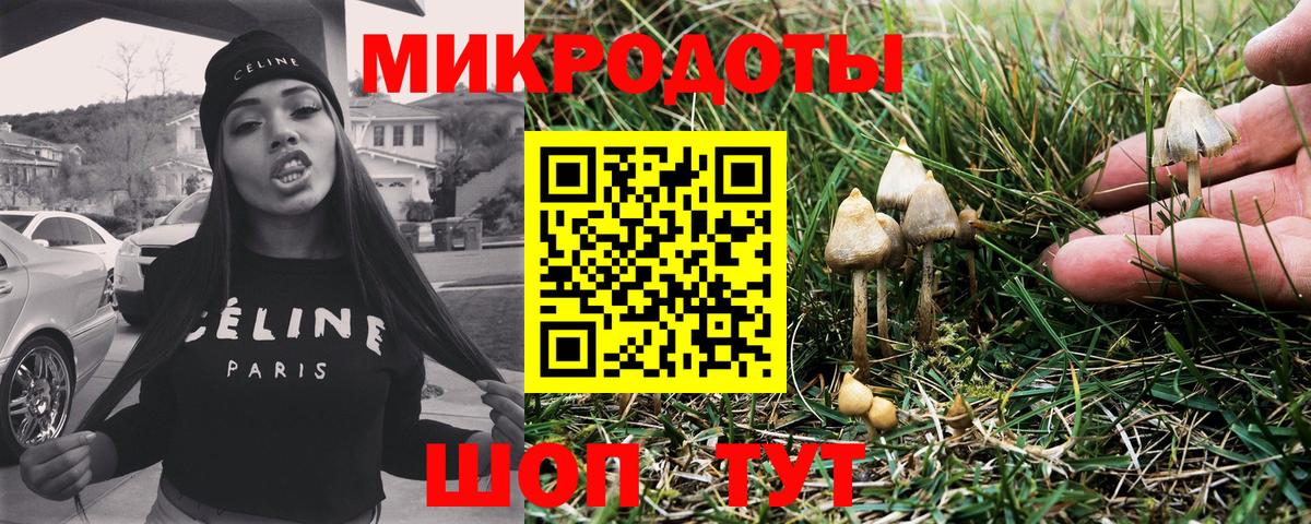 даркнет сайт  Галлюциногенные грибы Cubensis  Вход с VPN  Реутов 